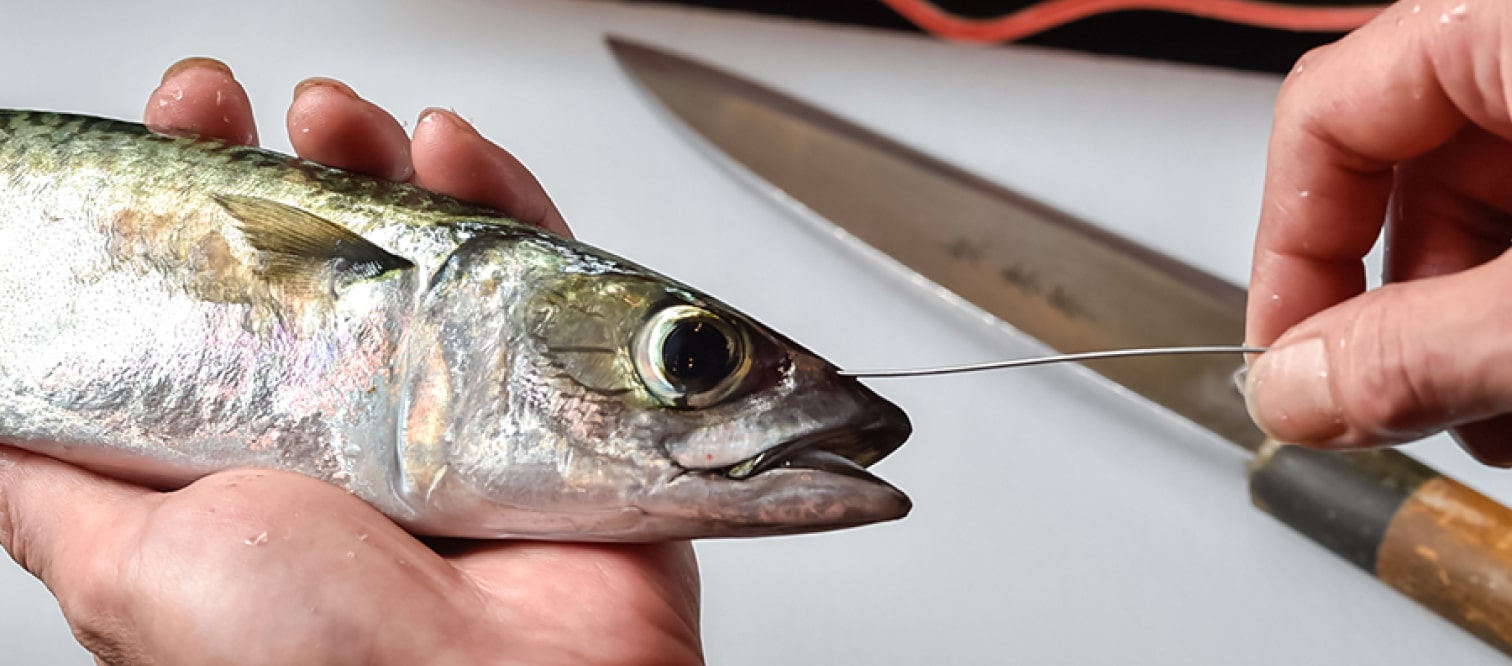 特殊な技術「神経抜き」で鮮度を保っています。